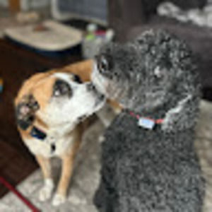 Meet your Posher, Toryn